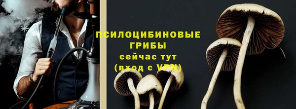 герыч Бородино