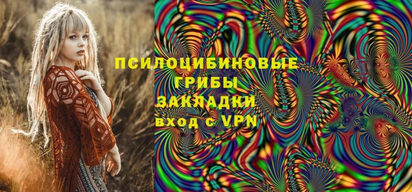 герыч Бородино