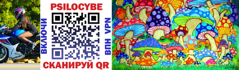 Псилоцибиновые грибы Cubensis Купить закладки Салехард