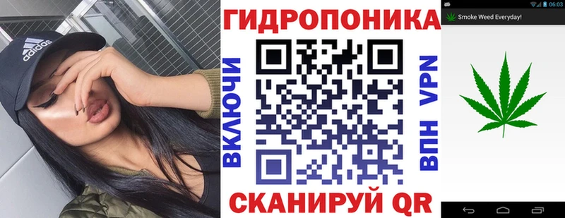 Бошки марихуана марихуана  Купить где  Салехард 